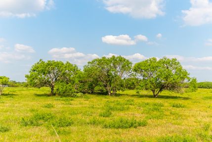 Undeveloped Land in Guadalupe County, Texas