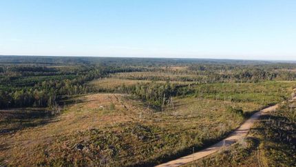 Farm and Ranch in Gadsden County, Florida