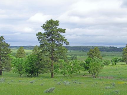 Farm and Ranch in Crook County, Wyoming