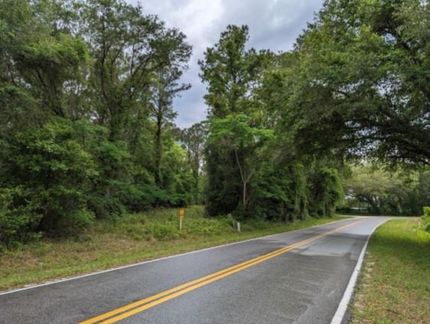 Undeveloped Land in Suwannee County, Florida