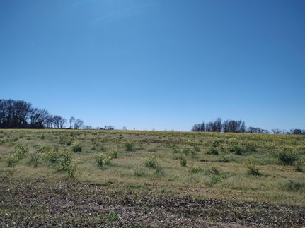 Farm and Ranch in Houston County, Alabama