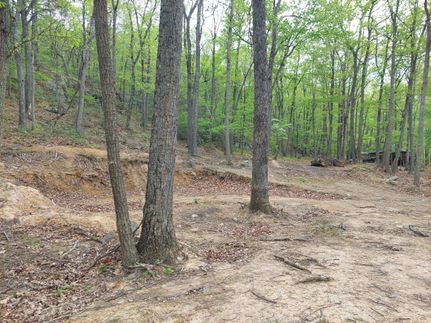 Farm and Ranch in Hampshire County, West Virginia