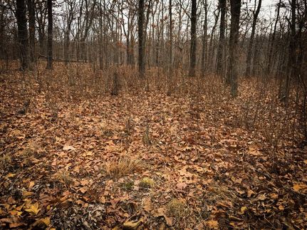 Recreational Property in Benton County, Missouri