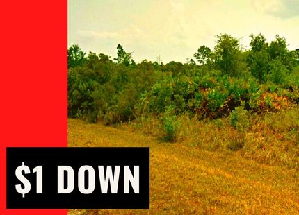 Undeveloped Land in Highlands County, Florida