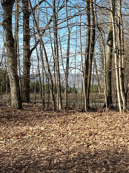 Undeveloped Land in Chenango County, New York