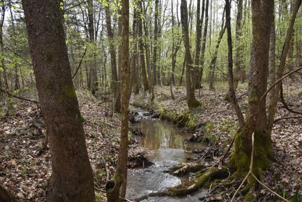 Hunting Property in Perry County, Tennessee