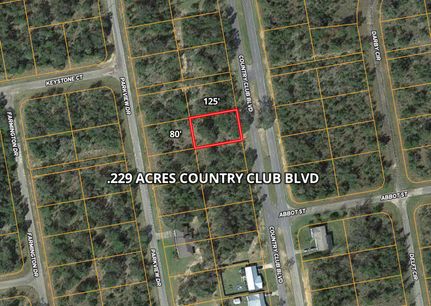 Undeveloped Land in Washington County, Florida