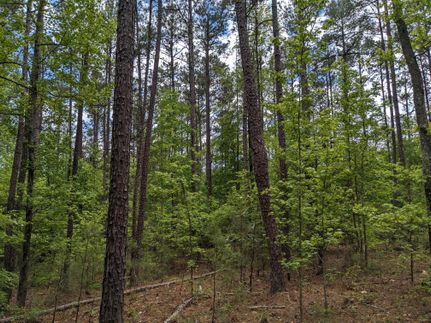Land for sale in Fairfield County, South Carolina