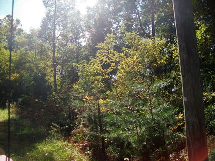 Land in Hampshire County, West Virginia