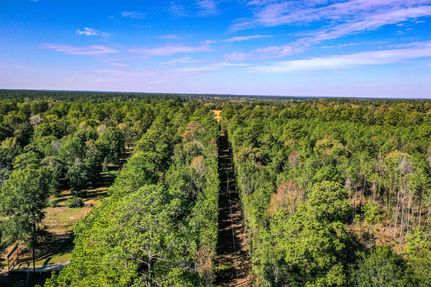 Land for sale in Walker County, Texas