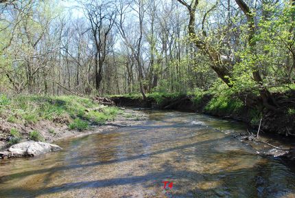 Timberland Property in Vermilion County, Illinois
