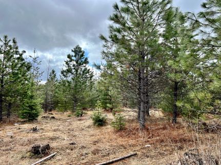 Hunting Property in Clearwater County, Idaho