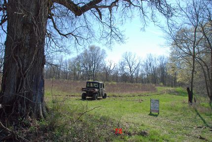 Land in Vermilion County, Illinois