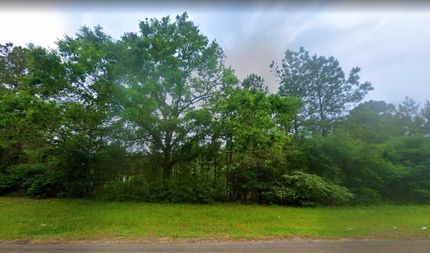 Undeveloped Land in San Jacinto County, Texas