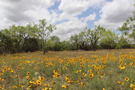 Farm and Ranch in Concho County, Texas