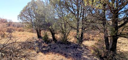 Undeveloped Land in Otero County, New Mexico