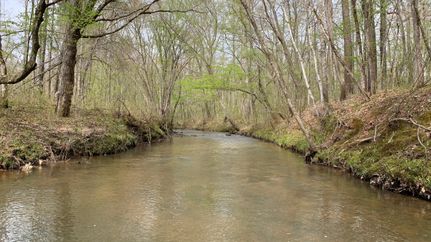 Hunting Property in Hancock County, Georgia
