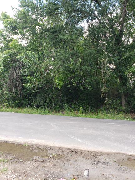 Undeveloped Land in Harris County, Texas