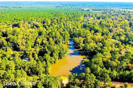 Timberland Property in Polk County, Texas