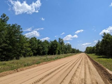 Timberland Property in Madison County, Florida