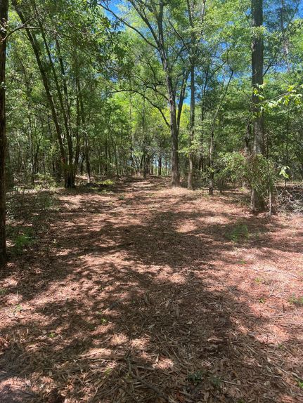 Farm and Ranch in Aiken County, South Carolina
