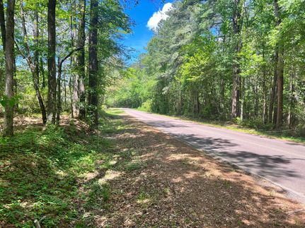 Undeveloped Land in Amite County, Mississippi