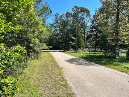 Undeveloped Land in Tyler County, Texas
