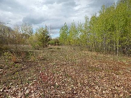 Farm and Ranch in Jackson County, Michigan