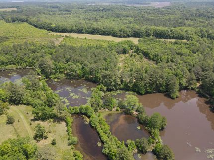 Undeveloped Land in Coffee County, Alabama