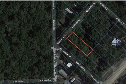 Undeveloped Land in Pasco County, Florida