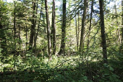 Farm and Ranch in Price County, Wisconsin