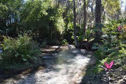 Land in Lake County, Florida