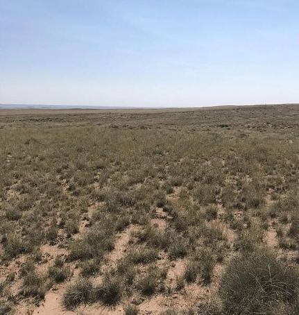 Farm and Ranch in Navajo County, Arizona