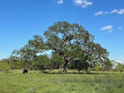Farm and Ranch in Burnet County, Texas