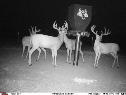 Land in Young County, Texas