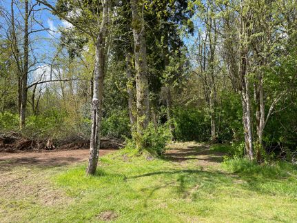 Undeveloped Land in Snohomish County, Washington