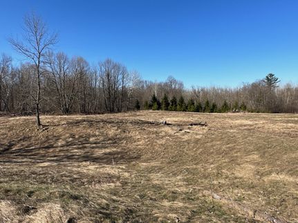 Land in Mille Lacs County, Minnesota