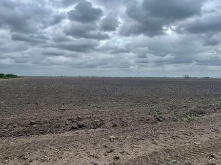 Undeveloped Land for sale in Hidalgo County, Texas
