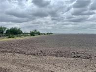 Farm and Ranch for sale in Hidalgo County, Texas