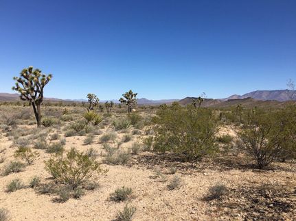 Farm and Ranch in Mohave County, Arizona