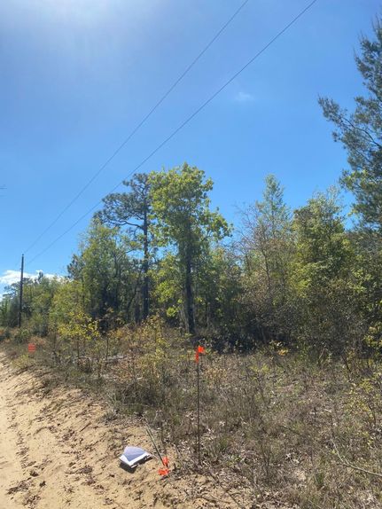 Undeveloped Land in Putnam County, Florida