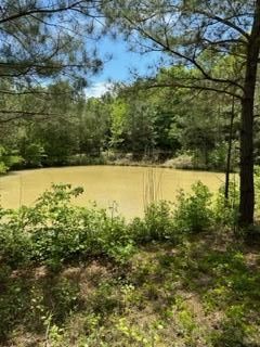 Farm and Ranch in Lamar County, Alabama