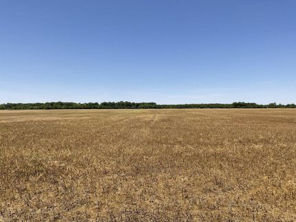 Farm and Ranch in Quitman County, Mississippi