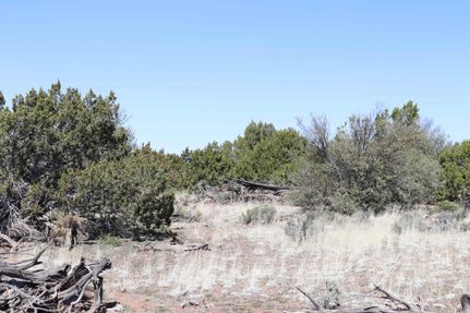 Farm and Ranch in Apache County, Arizona