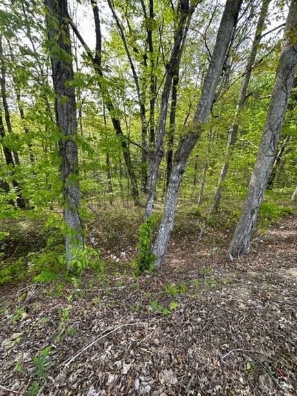 Timberland Property in Overton County, Tennessee