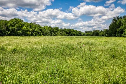 Hunting Property in Milam County, Texas