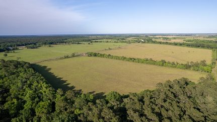 Timberland Property in Chambers County, Texas