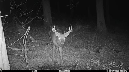 Recreational Property in Richland County, Wisconsin