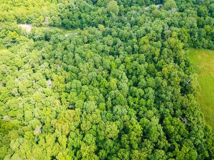 Land in Stone County, Missouri