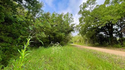 Undeveloped Land in Falls County, Texas